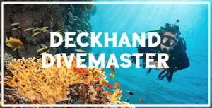 Deckhand Divemaster CLOSED